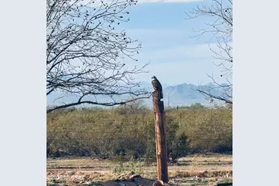 30239 E Little Crow Road, Marana, AZ 85658 - Photo 39