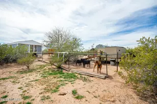 15330 W Magee Rd, Marana, AZ 85653 - Photo 7