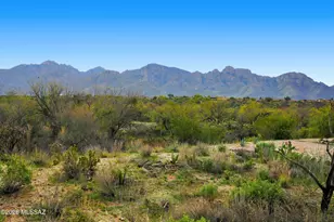 13828 N Lobelia Way, Oro Valley, AZ 85755 - Photo 37