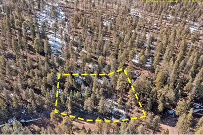 9 County Rd 2073 #-, Alpine, AZ 85920 - Photo 3