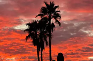 3951 N Four Winds Dr, Tucson, AZ 85750 - Photo 49