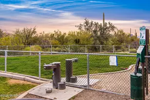 7753 W Sage Palm Ln, Marana, AZ 85658 - Photo 43