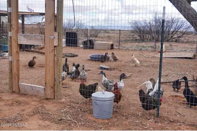 13126 S Brewery Gulch Road, Pearce, AZ 85625 - Photo 5