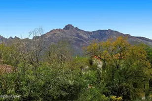 461 E Covered Wagon Dr, Tucson, AZ 85704 - Photo 29