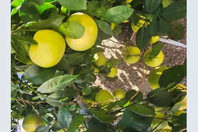 3394 W Crestone Court, Tucson, AZ 85742 - Photo 43