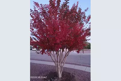 3394 W Crestone Court, Tucson, AZ 85742 - Photo 45