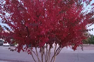 3394 W Crestone Ct, Tucson, AZ 85742 - Photo 45