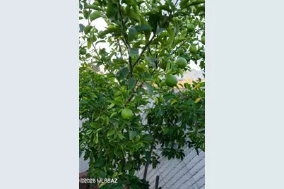 7122 E Eastland Street, Tucson, AZ 85710 - Photo 33