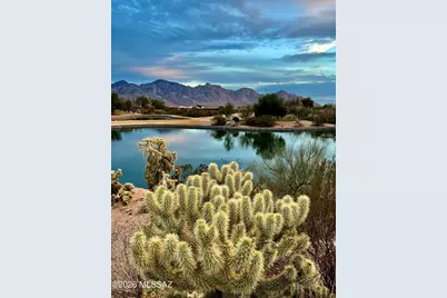 814 E Desert Glen Drive, Oro Valley, AZ 85755 - Photo 49