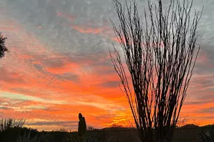 814 E Desert Glen Dr, Oro Valley, AZ 85755 - Photo 43