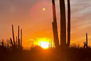 33597 E Davis Ranch Rd, Marana, AZ 85658 - Photo 39