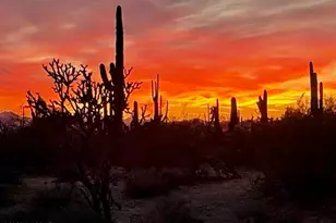 33597 E Davis Ranch Rd, Marana, AZ 85658 - Photo 43