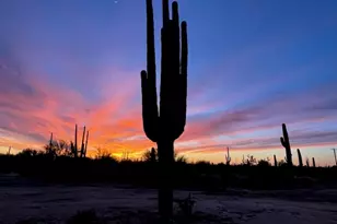 33597 E Davis Ranch Rd, Marana, AZ 85658 - Photo 41