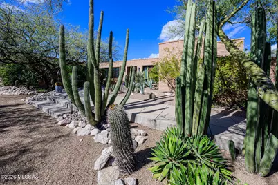 4221 N Larrea Lane, Tucson, AZ 85750 - Photo 3