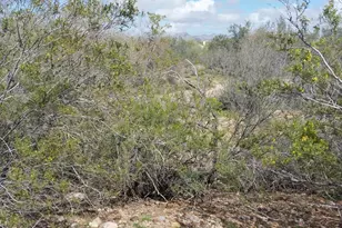 4848 W Hardy Rd, Tucson, AZ 85742 - Photo 11