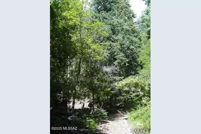 10920 Tanager Lane, Tucson, AZ 85619 - Photo 1