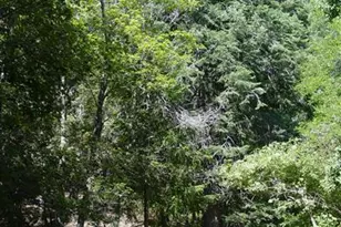 10920 Tanager Ln, Tucson, AZ 85619 - Photo 1