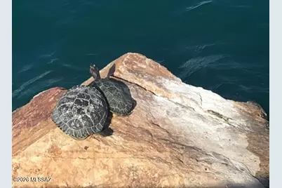 180 W Calle Media Luz, Sahuarita, AZ 85629 - Photo 45