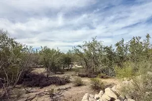 8141 N Streamside Ave, Tucson, AZ 85741 - Photo 19