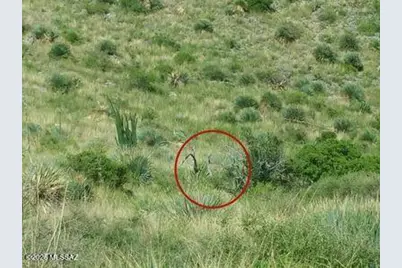 Emerald Falls Drive, Hereford, AZ 85615 - Photo 11