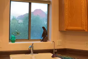 5702 W Treasure Cove Loop, Tucson, AZ 85713 - Photo 35