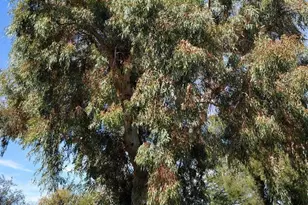 8050 E Broadway Blvd, Tucson, AZ 85710 - Photo 29