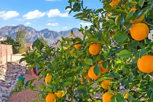 2303 E Indian Town Way, Oro Valley, AZ 85755 - Photo 25