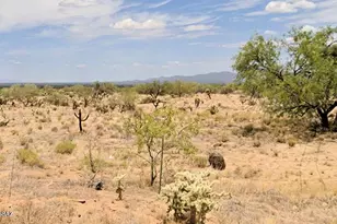 12920 Rustler St, Tucson, AZ 85736 - Photo 1