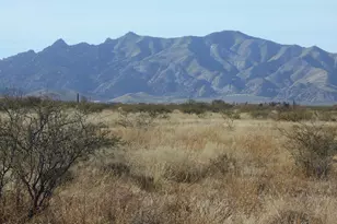 87 Acre Sidney Rd, Pearce, AZ 85625 - Photo 1