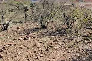 1858 Circulo Glorieta, Rio Rico, AZ 85648 - Photo 1