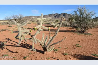 Howling Wolf Road, Willcox, AZ 85643 - Photo 21