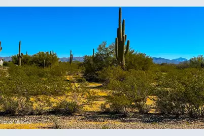 0 Cactus Garden Way 2.5 Acres #-, Marana, AZ 85658 - Photo 5