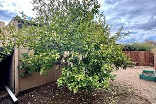 2865 N Fontana Ave, Tucson, AZ 85705 - Photo 17