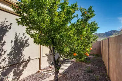 9709 N Hebden Way, Marana, AZ 85653 - Photo 31
