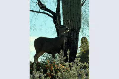 4271 N Summer Set Loop, Tucson, AZ 85750 - Photo 49