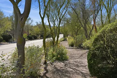 3913 W Oak Springs Terrace, Tucson, AZ 85745 - Photo 41