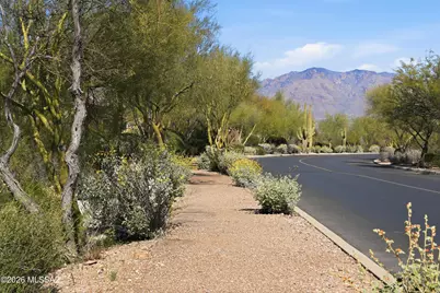 3913 W Oak Springs Terrace, Tucson, AZ 85745 - Photo 39