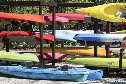 321 Wild Orchid Lane, Marco Island, FL 34145 - Photo 39