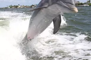 1020 S Collier, Marco Island, FL 34145 - Photo 33