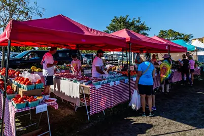108 Sand Hill Street, Marco Island, FL 34145 - Photo 17
