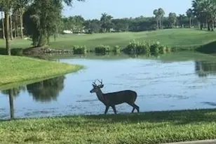 8680 Cedar Hammock Cir, Naples, FL 34112 - Photo 23
