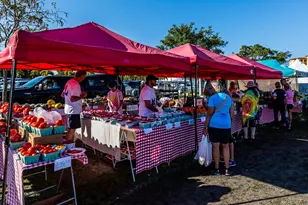 731 W Elkcam Cir, Marco Island, FL 34145 - Photo 17