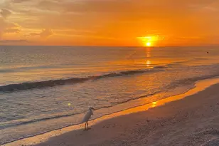 731 W Elkcam Cir, Marco Island, FL 34145 - Photo 19