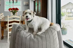 190 Tahiti Cir, Naples, FL 34113 - Photo 27