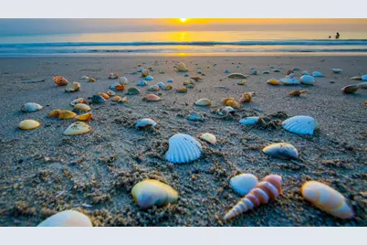 125 E Pago Pago Drive E, Naples, FL 34113 - Photo 35