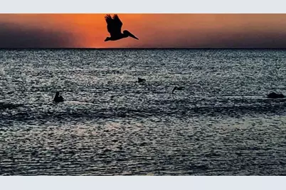 278 Bass Court, Marco Island, FL 34145 - Photo 41