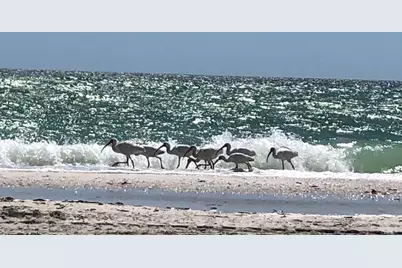 278 Bass Court, Marco Island, FL 34145 - Photo 37