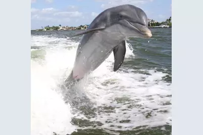 100 N Collier Boulevard #205, Marco Island, FL 34145 - Photo 35