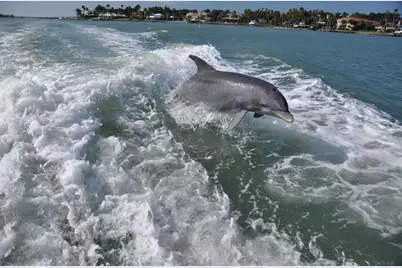 162 Newport Drive #1207, Naples, FL 34114 - Photo 43