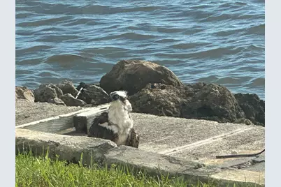 410 Cristobal Street, Naples, FL 34113 - Photo 125